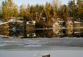 Winter of My Discontent